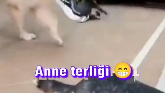 Anne terliği yediniz mi hiç?