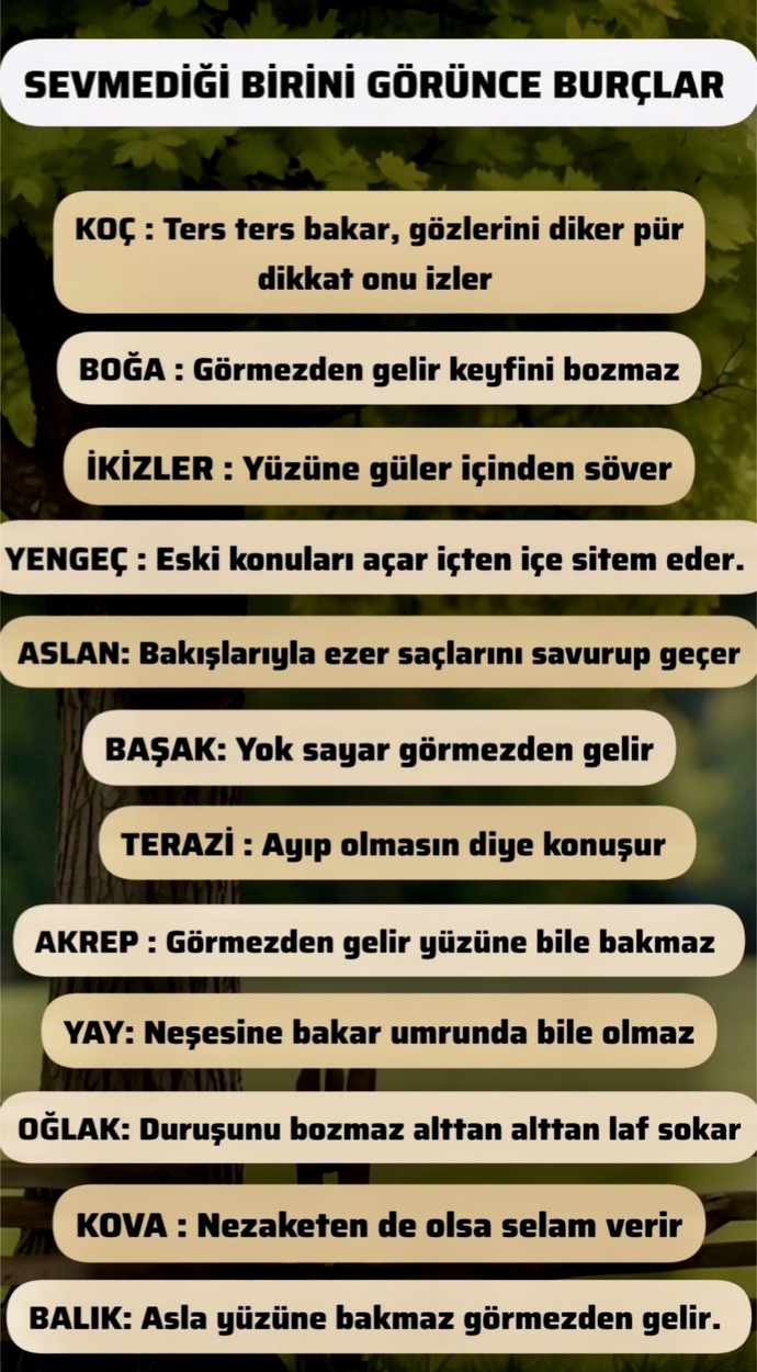 Sevmediğin birini gördüğünde ne yapıyorsun?