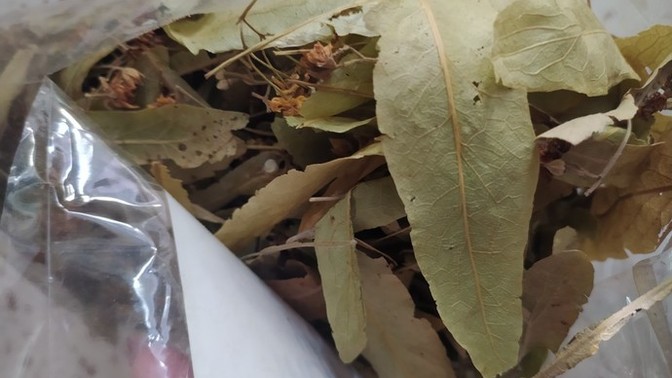 Ihlamurun bozulduğunu nasıl anlarım?