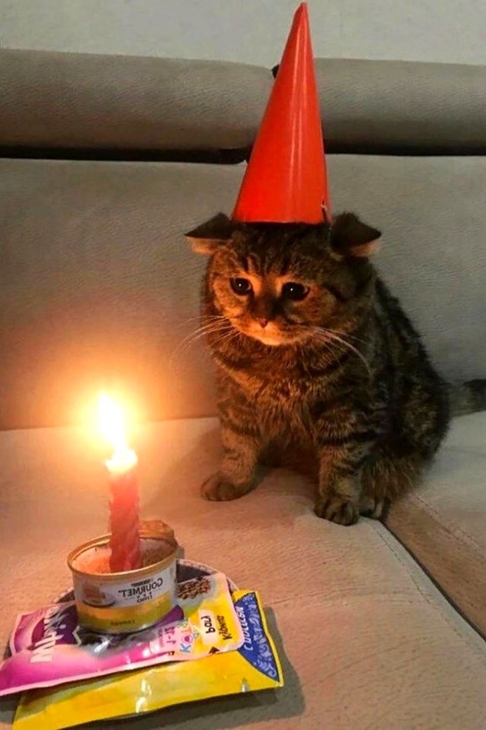 Bugün benim doğum günüm ama arkadaşım olmadığı için sizinle paylaşmak istedim. :( Bir şey söylemek ister misiniz?