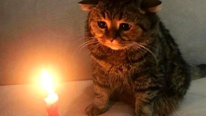 Bugün benim doğum günüm ama arkadaşım olmadığı için sizinle paylaşmak istedim. :( Bir şey söylemek ister misiniz?