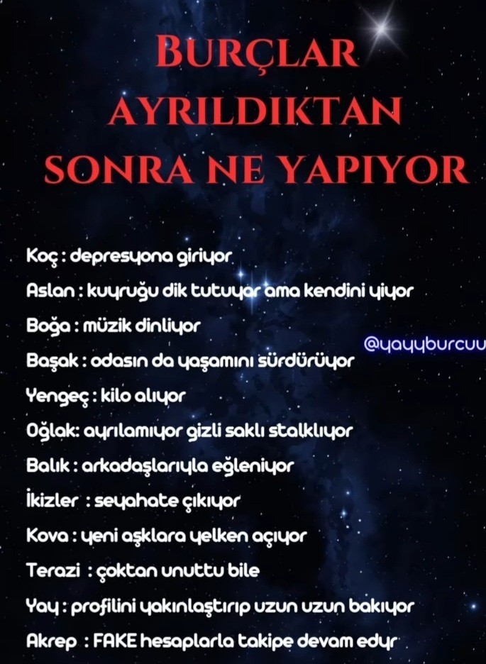 Burçlar ayrıldıktan sonra ne yapıyor?