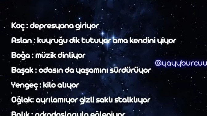 Burçlar ayrıldıktan sonra ne yapıyor?
