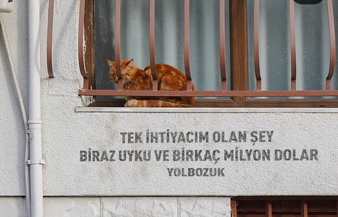 Size asla reddemeyeceğiniz bir teklif sunulsa bu ne olurdu?