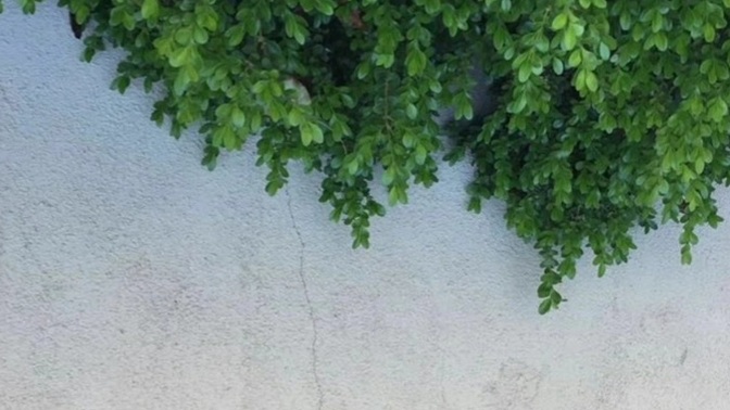 Olsa güzel olmaz mıydı?
