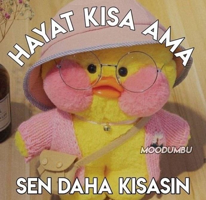 Kısa boylu kızlar hakkında ne düşünüyorsunuz? ?