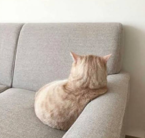 Trip atan erkeğe ne yapmalı?