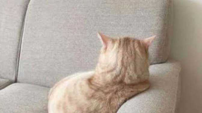 Trip atan erkeğe ne yapmalı?