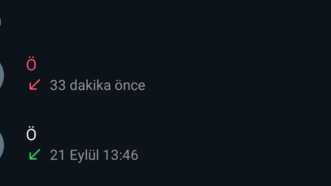 Hiç birini onun yerine koydunuz mu?