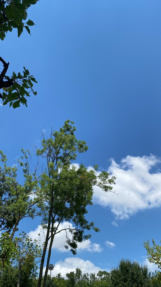Evinizde enerji sömüren bir babanız var mı?