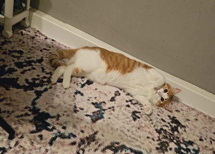 Gecenin bi yarısı mutfakta şöyle bir ponçik yakalasanız naparsınız 🙃?