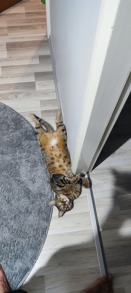 Gecenin bi yarısı mutfakta şöyle bir ponçik yakalasanız naparsınız 🙃?
