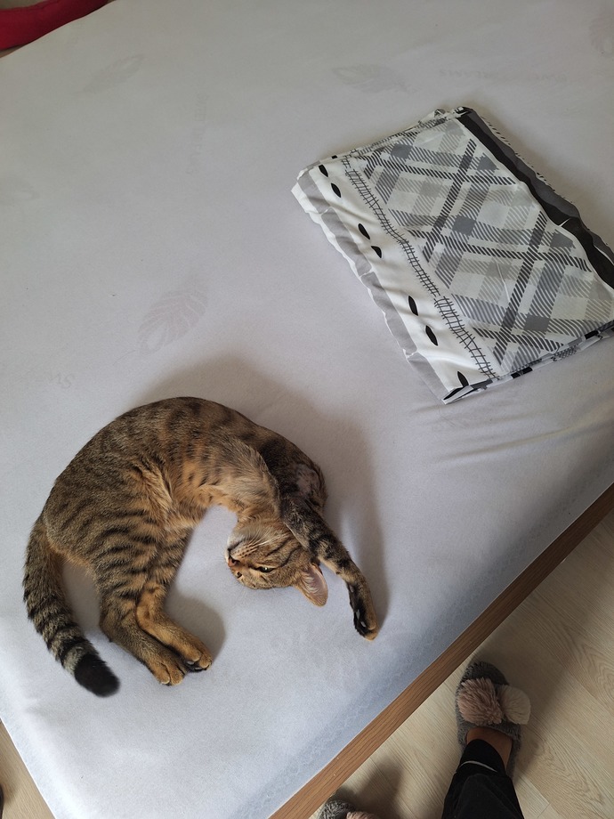 Günaydınnnnnnn, güne nasıl başladınız?