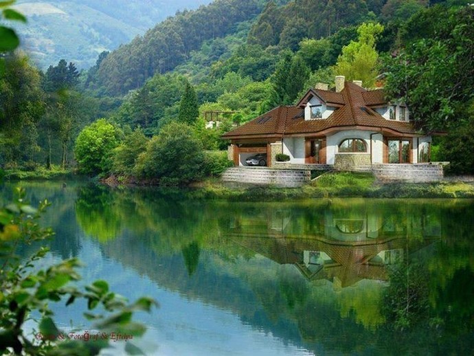 Deniz manzaralı bir yerde mi yoksa orman manzaralı bir yerde mi yaşamayı tercih edersiniz?