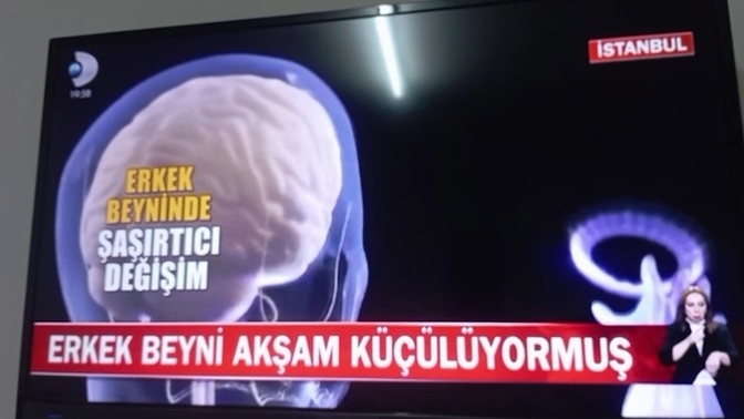 Erkoların beyni akşamları küçülüyormuş neden?