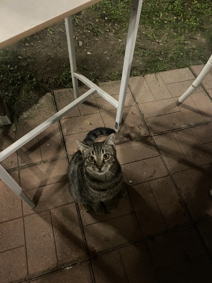 Ağır bir depresyon geçiriyorum ve hayatın anlamını arıyorum, bana bir tavsiyeniz var mı?