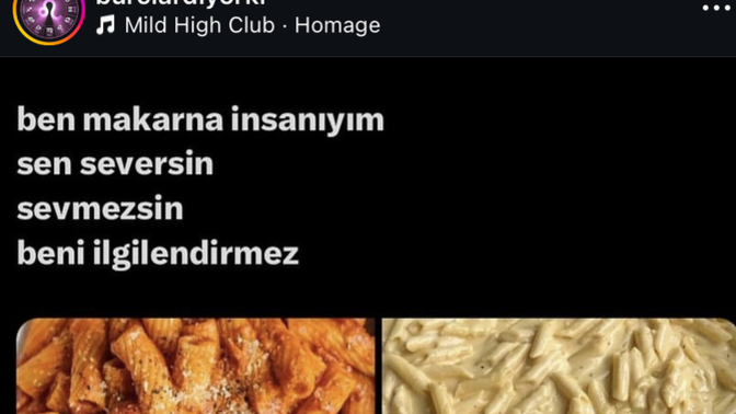 En çok neyli makarna seversiniz?