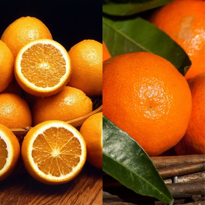 Portakalı mı, yoksa mandalinayı mı daha çok özlediniz?
