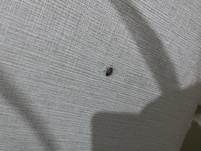 Bu arkadaşı evimden usulca nasıl kovabilirim heelpp?