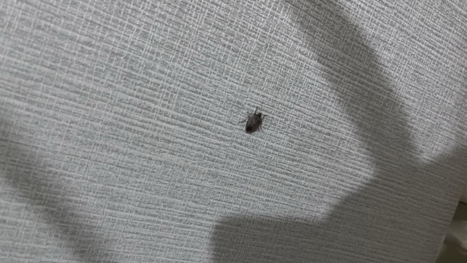 Bu arkadaşı evimden usulca nasıl kovabilirim heelpp?