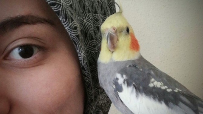 Masum kime denir?