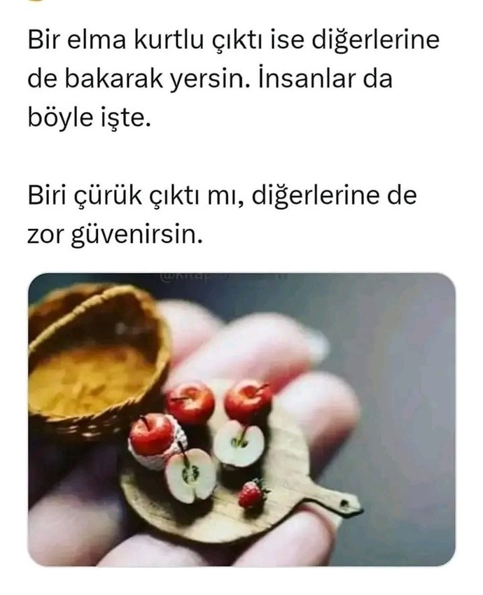 Güvenmek çok zor demi?