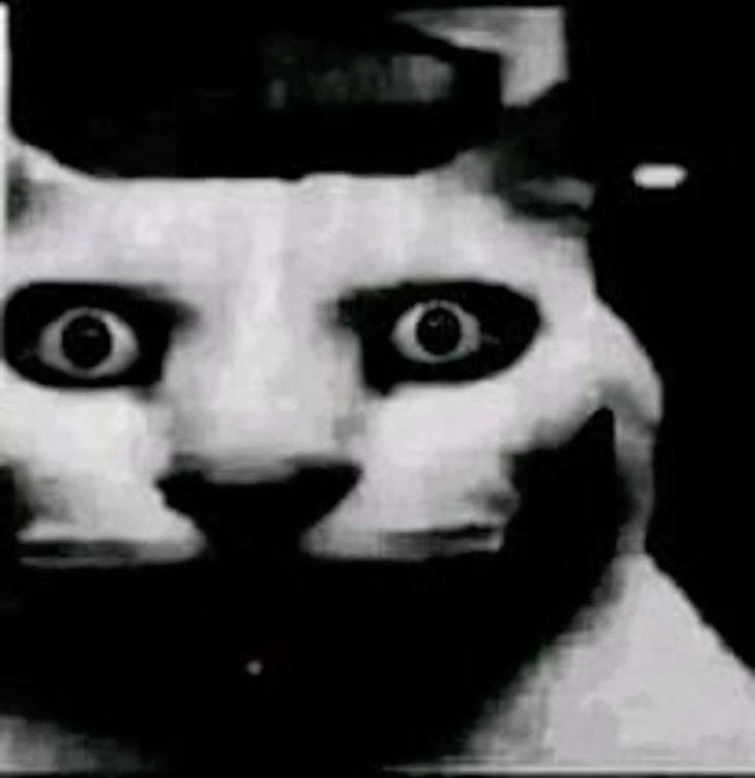 Bu saate kadar uyumayan insan hayatsız mıdır?