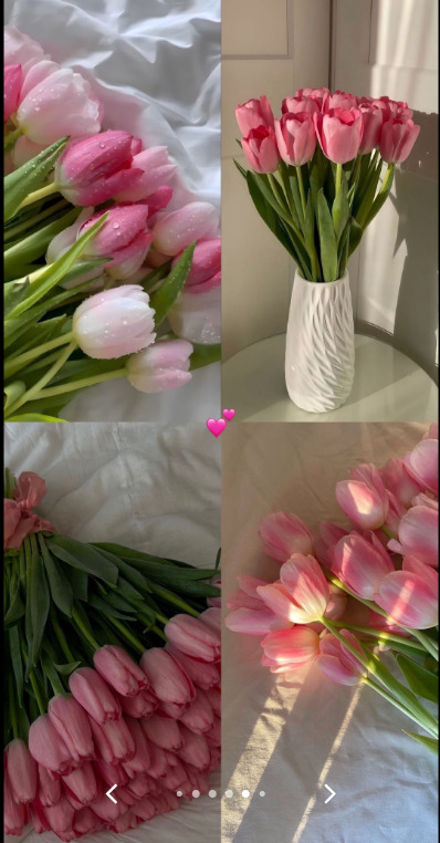 Benim favori çiçeklerimden hangisi sizin favoriniz olabilirrr💐🎀?