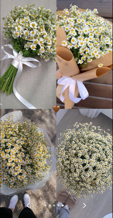 Benim favori çiçeklerimden hangisi sizin favoriniz olabilirrr💐🎀?
