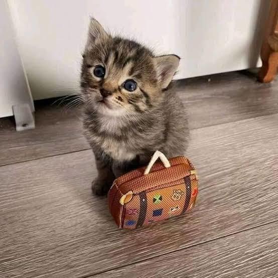 Ben gidiyorum dediğinizde tekrar döndünüz mü?