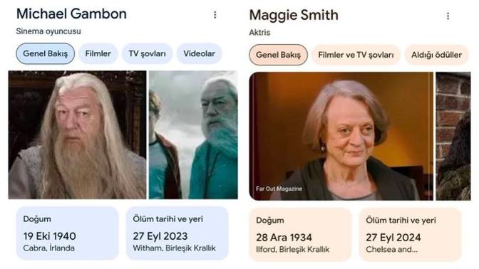 Harry Potter hayranları için 27 Eylül hüzün dolu bir gün oldu. Harry Potter'ın bu iki profesörünü sever miydiniz?
