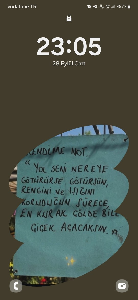 Telefon duvar kağıdınızda hangi resim/fotoğraf var?