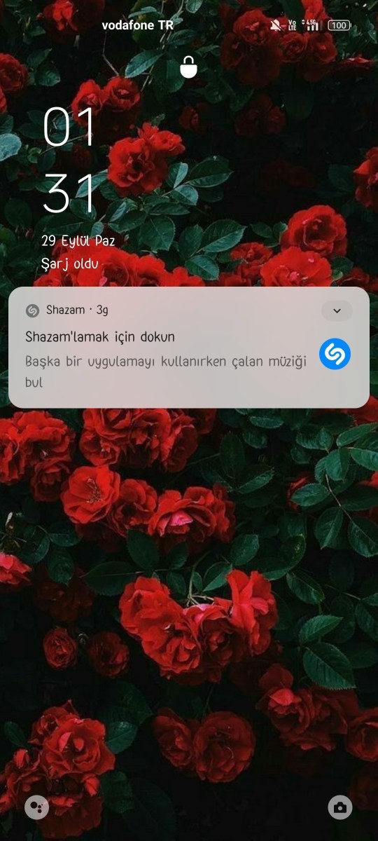 Telefon duvar kağıdınızda hangi resim/fotoğraf var?