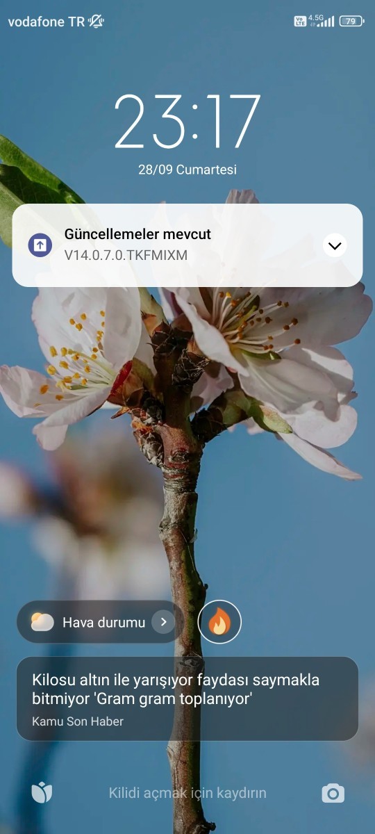 Telefon duvar kağıdınızda hangi resim/fotoğraf var?