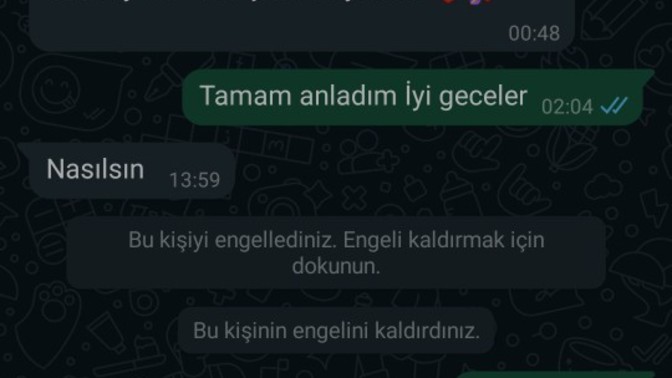 Ex barışmak istiyordu ama samimiyetine güvenemedim ve borç istiyim gerçekten emin olmak için dedim borç olayından sonra yazmadı?
