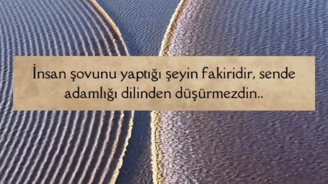 “insan şovunun yaptığı şeyin fakiridir” sözüne katılıyor musun?