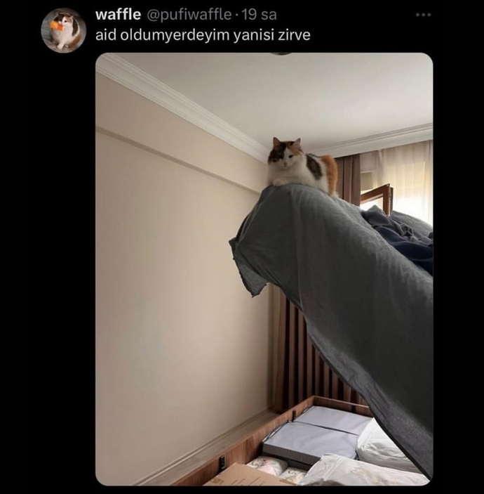 Kendinizi ait olduğunuz yerde hissediyor musunuz?