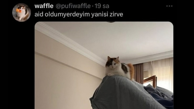 Kendinizi ait olduğunuz yerde hissediyor musunuz?