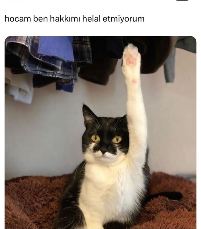Hocam ben hakkımı helal etmiyorum cümlesini ne için kurarsın?