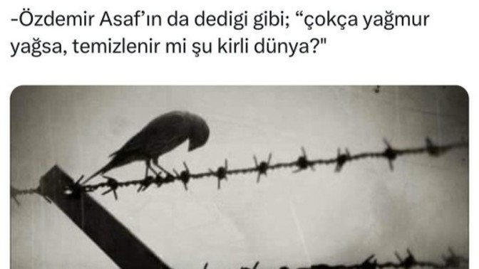 Ne güzel özetlemiş görsel dimi?