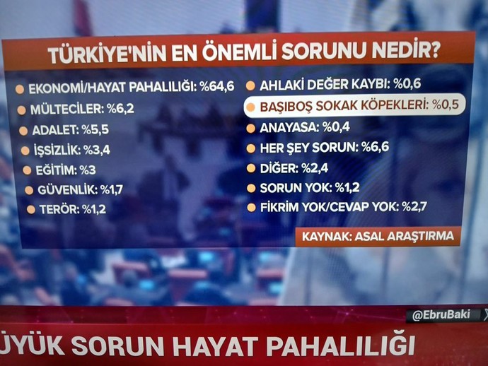 Bu toprakların en büyük sorunu nedir?