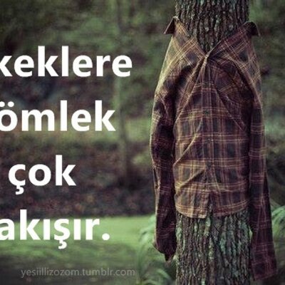 Şiir yazmanız için ne olması gerekiyor?