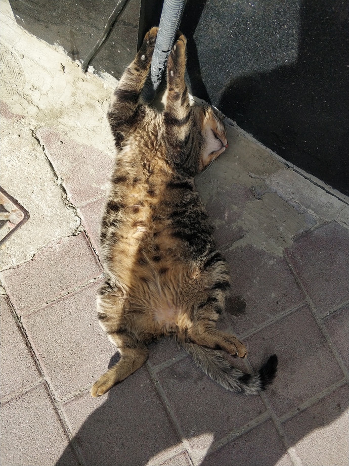 Günün en güzel fotoğrafı ne olsun?