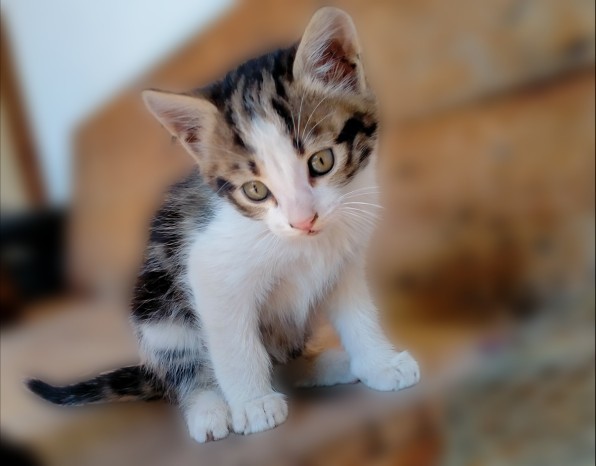 Günün en güzel fotoğrafı ne olsun?