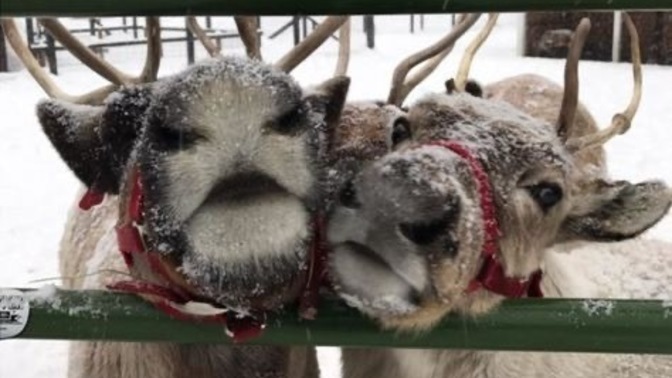 Kış geliyor ❄️ hazır mısınız?