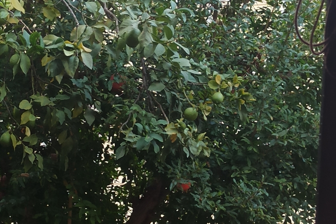 Yağmurlu bir günde hangi yemek içini en çok ısıtır?