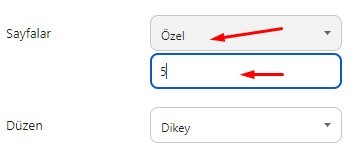 yazdırmak istediğin sayfa numarasını girebilirsin