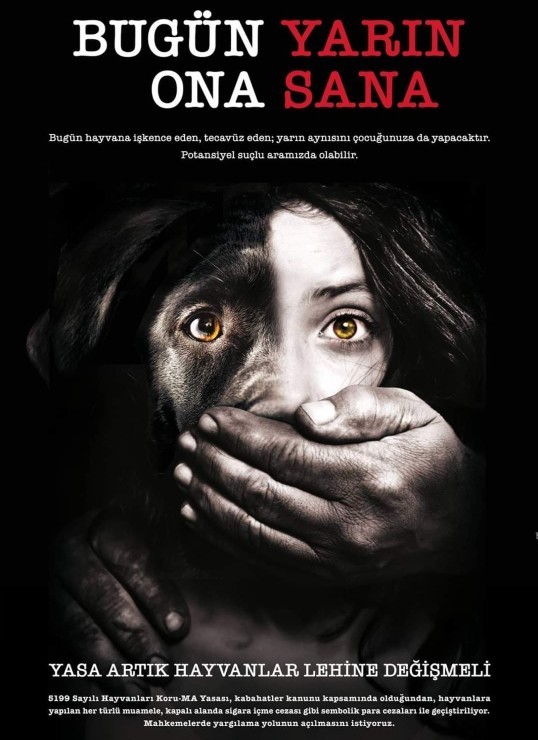 Bugün Dünya Gülümseme Günü! Gülümseme dolu bir günü nasıl geçirmek istersin?