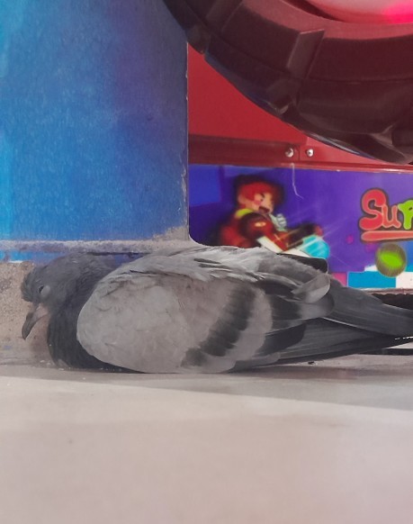 Allahımmm ben bununla ne yapacağım?