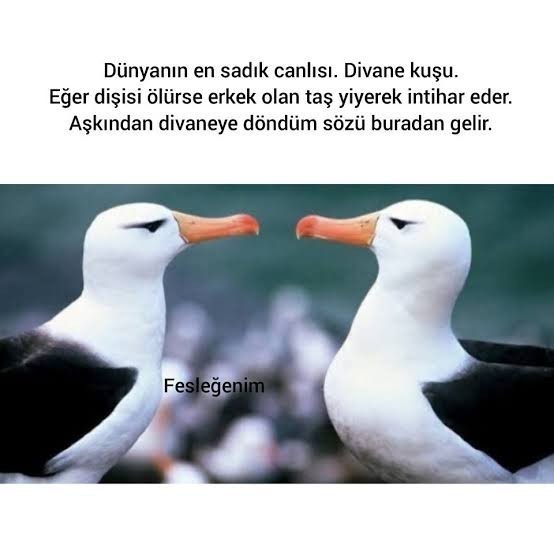 Sevdiğiniz biri öldüğünde tekrar evlenir miydiniz?